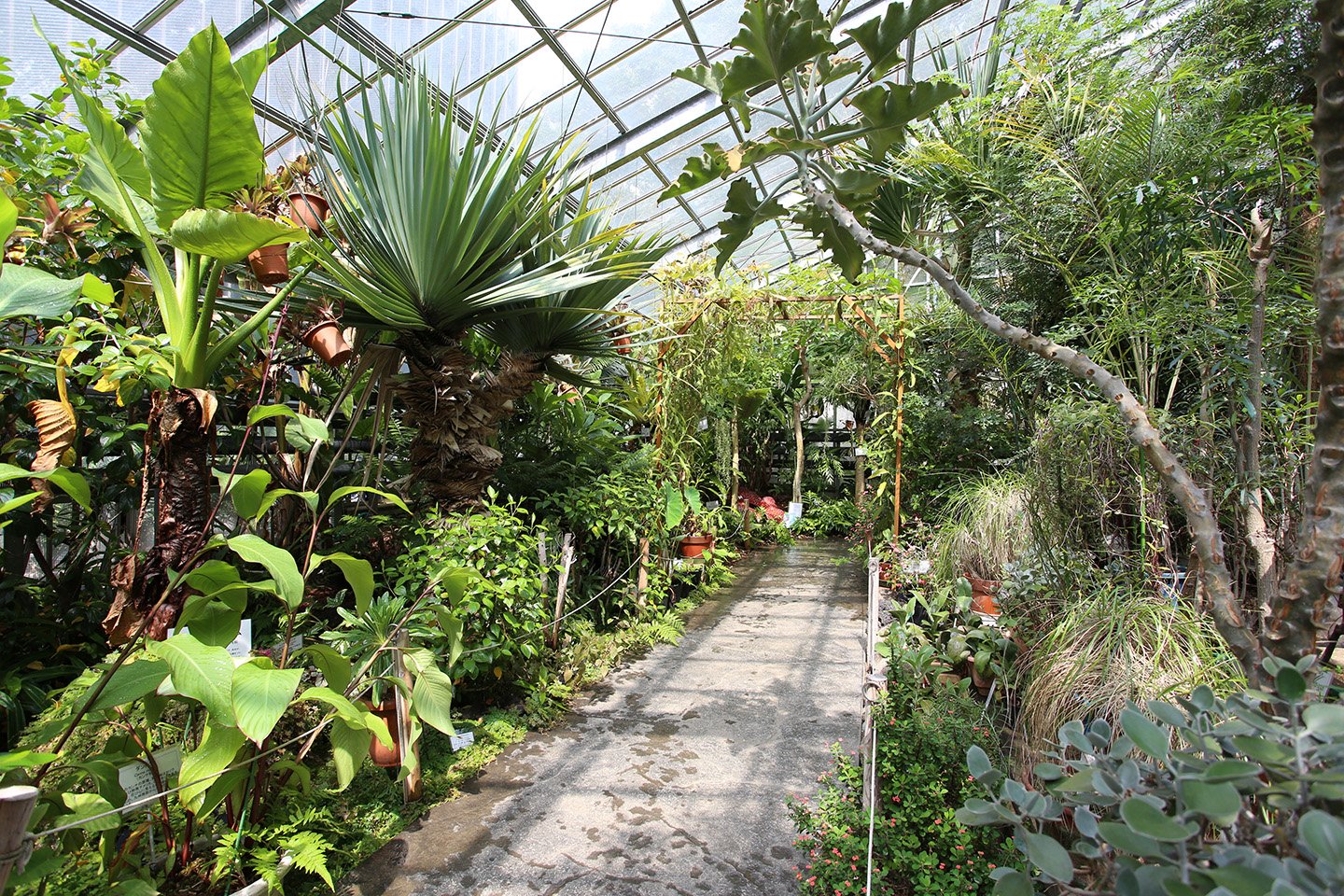 🏛️ 식과 농 박물관(도쿄노교다이가쿠 쇼쿠토노노하쿠부쓰칸) 이미지 5